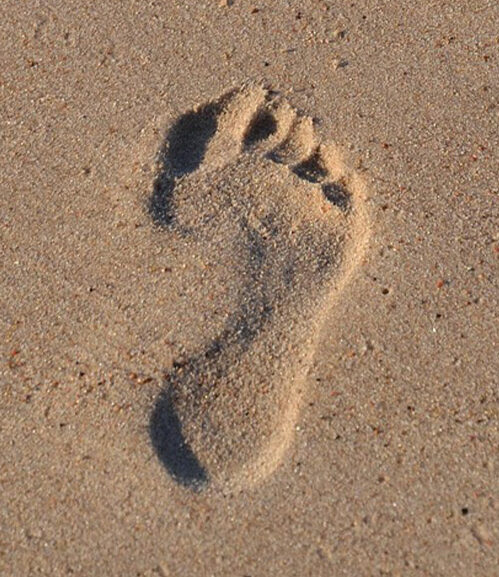 Lecture et interprétation des empreintes de pieds