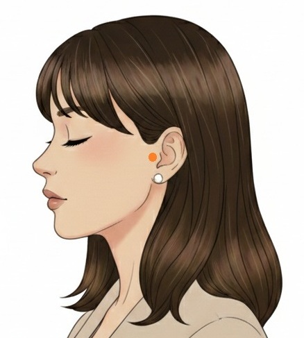Point acouphène devant le tragus de l'oreille